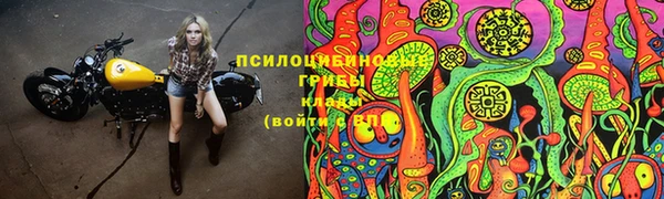 ECSTASY Няндома