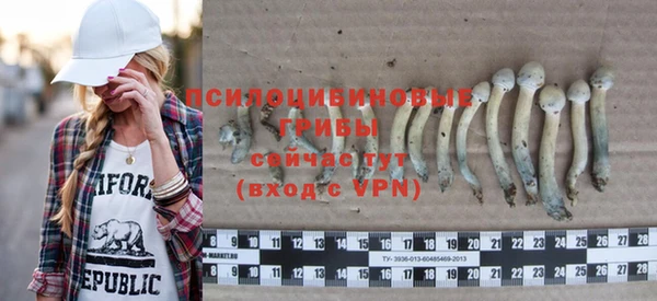 мдпв Нязепетровск