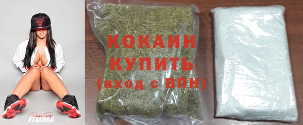 ECSTASY Няндома